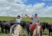Viralizou: garotinha de 6 anos de Cruzeiro do Sul encanta ao montar cavalo em alta velocidade