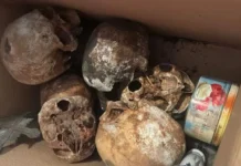 Mistério: polícia acha 12 crânios em apartamento