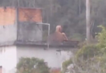 Em meio a rajadas de fuzil, casal é flagrado transando em laje no RJ; veja vídeo