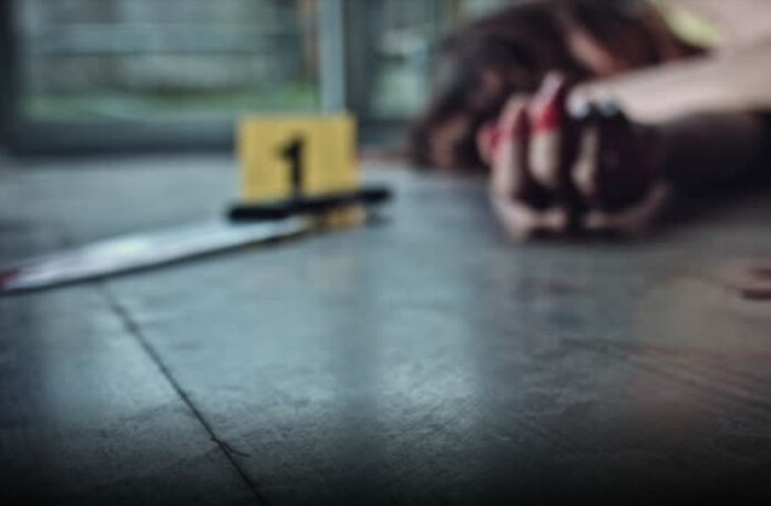 5a958e91-5b0c-4798-a047-fb86bf442c21