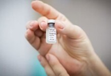 Brasil ganha 1ª vacina de dose única contra a dengue; Anvisa aprova imunizante do Butantan