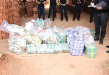 PC destrói 500 kg de drogas e dá prejuízo de R$ 3,5 milhões ao crime
