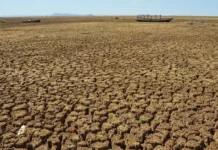 Governo libera R$ 2,6 milhões para ações de enfrentamento à estiagem no Amapá