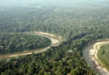 Acre cria Orçamento Climático para mitigar mudanças do clima