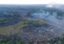 Cruzeiro do Sul registra 81% de redução nas queimadas durante o verão amazônico