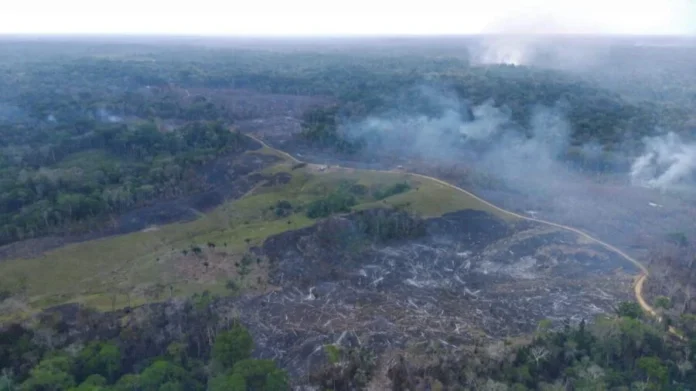 Queimada-na-Resex-Chico-Mendes-em-Assis-Brasil_Defesa-Civil-Municipal-3-900x506-1