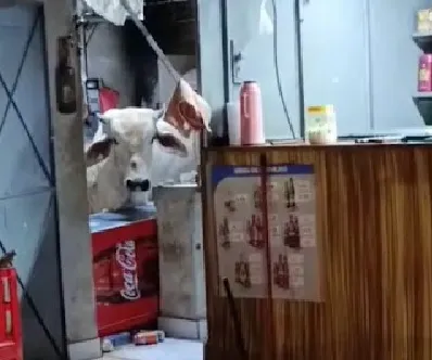 e89791899f8c8d85122a03e98d453371