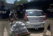 PRF apreende 32 quilos de skunk escondidos em caixa de som na BR-364
