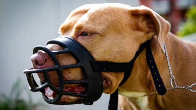 20251207170756ssdsdsd