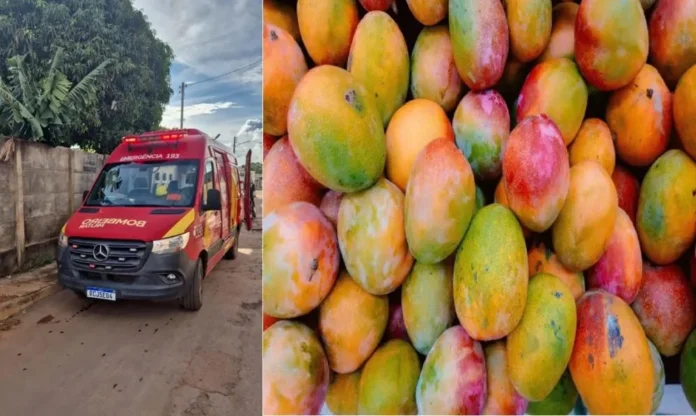 6da646f74d0e507f30e2e5bf7586b33b