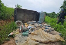 Caminhonete tomba em estrada precária durante transporte de material para obra de escola indígena no Acre