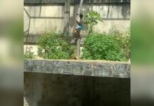 Leoa atacou jovem pelo pescoço, mas não comeu corpo, diz laudo do IML