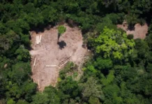 Mais de 20 pessoas morreram por conflitos de terra em região do Acre em 2025