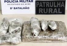 Mulher é presa com quase 2 kg de maconha durante abordagem na BR-364 no Acre