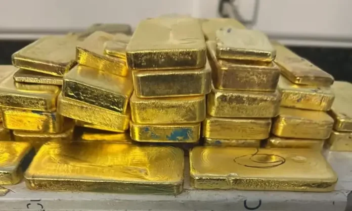 IMG_4291-e1764760699498-1000x600