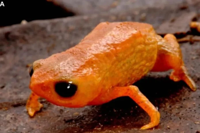 d54dd34a50c45bbb3457190ad582e29b