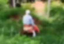 Vídeo: casal de idosos é flagrado fazendo sexo ao ar livre à luz do dia