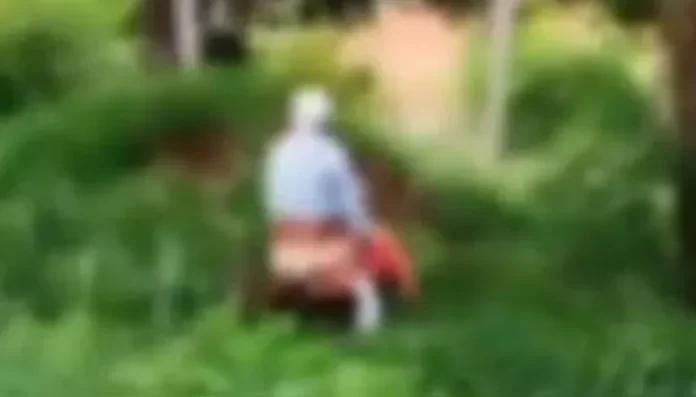 e146736308b5e530e5d30511ef75f505