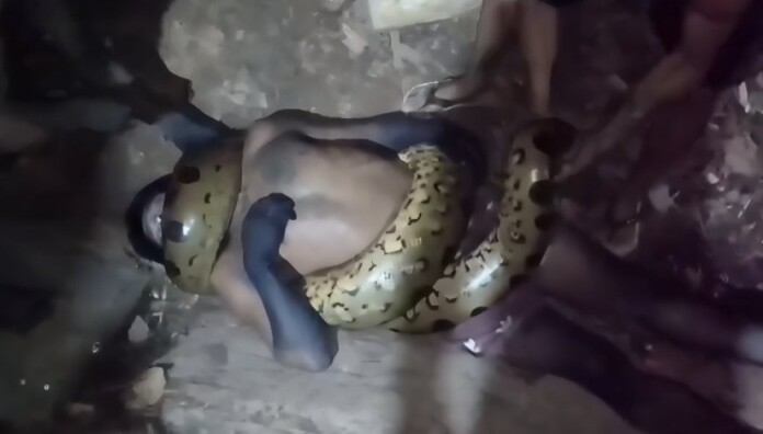 image_870x_693c4e86d0479