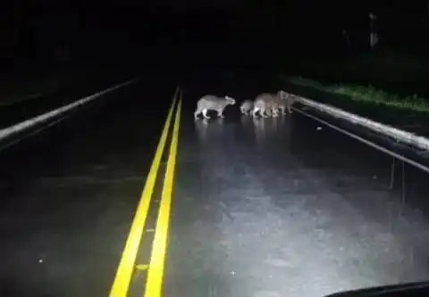 WhatsApp-Image-2026-01-23-at-16.51.53