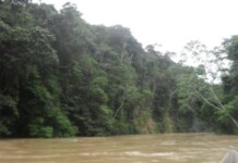 Nível do Rio Moa permanece elevado em Mâncio Lima
