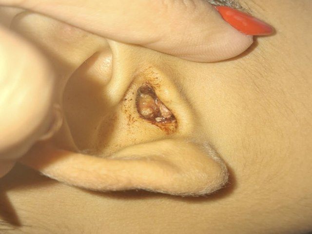 not-9093-20260123113731