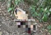 Homem é encontrado decapitado em área de mata em município do Juruá