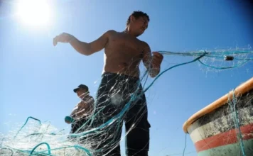 Prazo para recadastramento de pescadores é prorrogado até 5 de abril, informa Superintendência Federal da Pesca