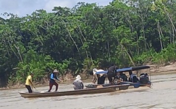 Barcos e motores não são encontrados após naufrágio de embarcações com mudas de açaí no Rio Juruá