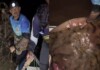 “Não é conversa de pescador”: homem captura arraia de 100 kg no Rio Acre