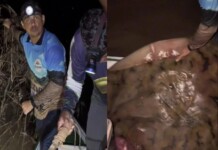 “Não é conversa de pescador”: homem captura arraia de 100 kg no Rio Acre