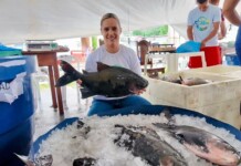 Protagonismo feminino é destaque na VIII Feira do Peixe e Agricultura Familiar de Mâncio Lima