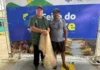 Melhor tarrafeador é eleito e ganha prêmio de R$ 500 na Feira do Peixe em Cruzeiro do Sul