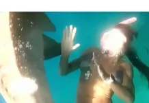 Turista divulga vídeo de ataque de tubarão durante mergulho em Fernando de Noronha