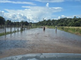 Igarapé Branco transborda e deixa comunidades em alerta em Mâncio Lima