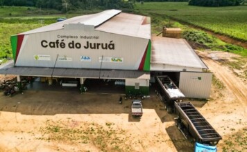 Café produzido pela Coopercafé ganha o mercado nacional com a exportação de mais de 1.800 sacas para cafeeira paranaense