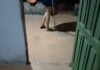 Casa fica completamente alagada no bairro da Cobal após forte chuva em Mâncio Lima