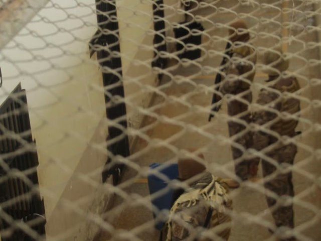IMG_2803